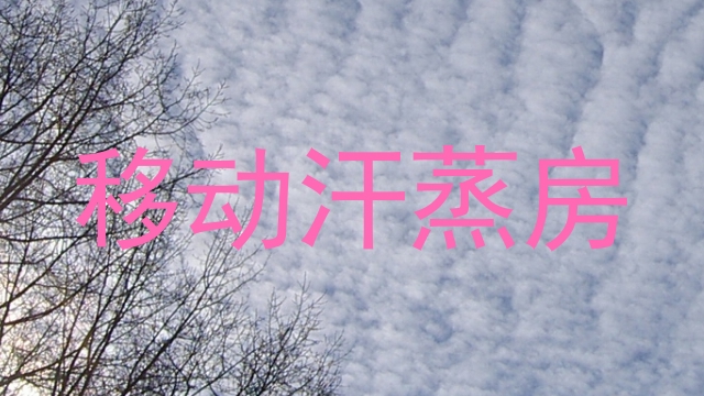 移动汗蒸房