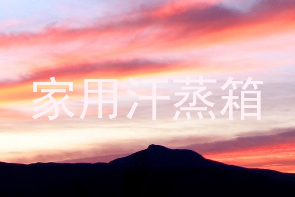 家用汗蒸箱