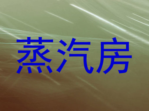 蒸汽房