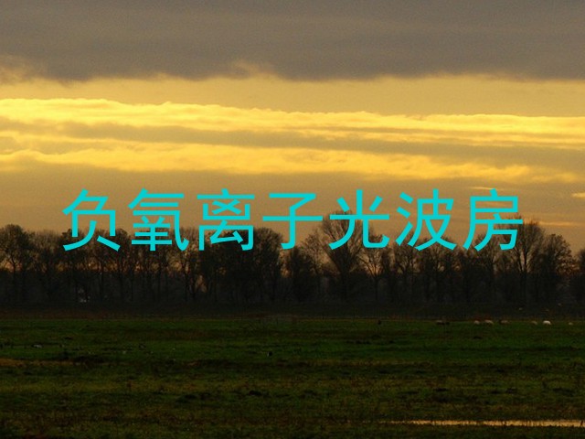 负氧离子光波房