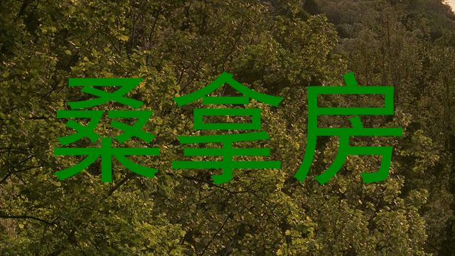 桑拿房