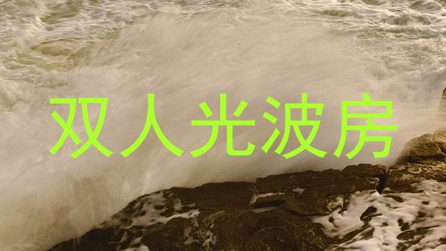 双人光波房