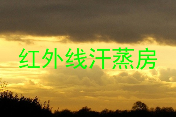 红外线汗蒸房