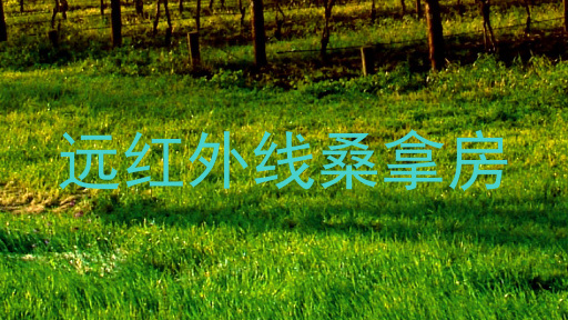 远红外线桑拿房