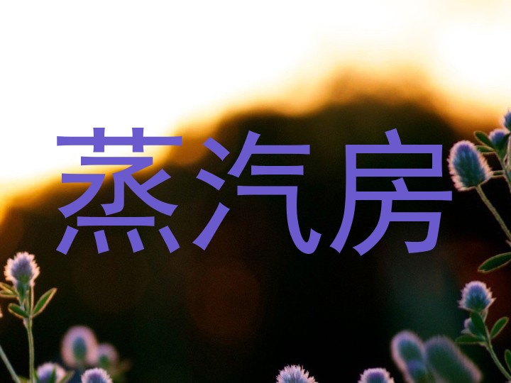 蒸汽房