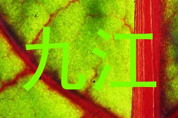 九江