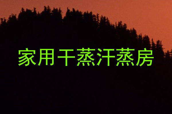 家用干蒸汗蒸房