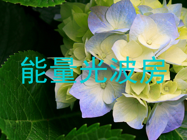 能量光波房