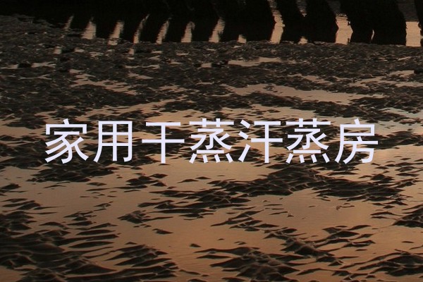 家用干蒸汗蒸房