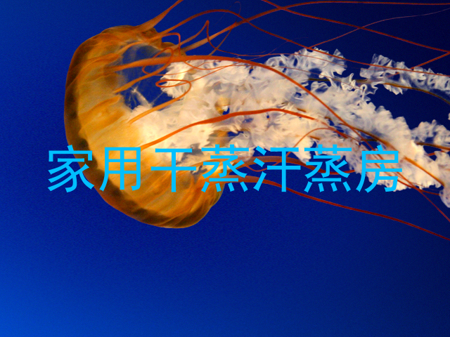 家用干蒸汗蒸房
