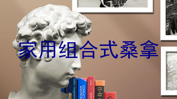 家用组合式桑拿