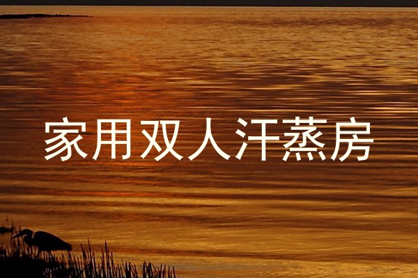 家用双人汗蒸房