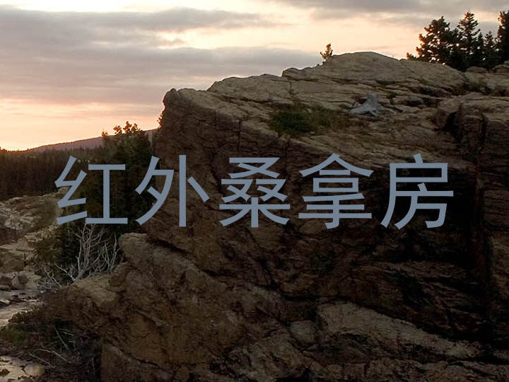 红外桑拿房
