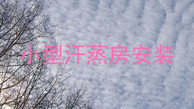 小型汗蒸房安装