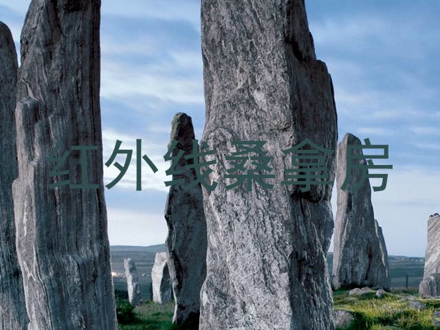 红外线桑拿房