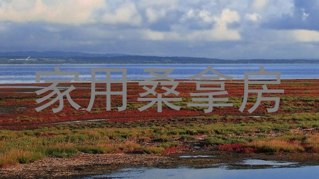 家用桑拿房