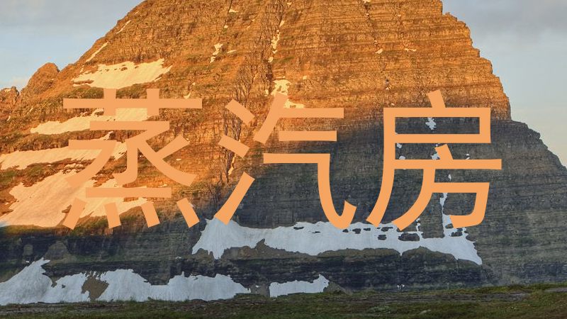 蒸汽房