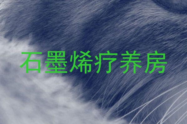 石墨烯疗养房