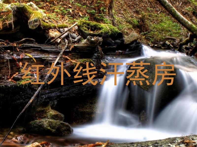 红外线汗蒸房