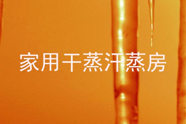 家用干蒸汗蒸房