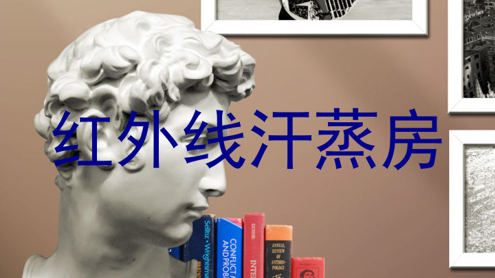 红外线汗蒸房