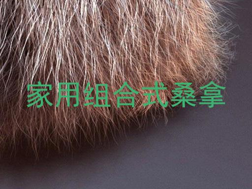 家用组合式桑拿