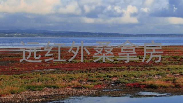 远红外桑拿房