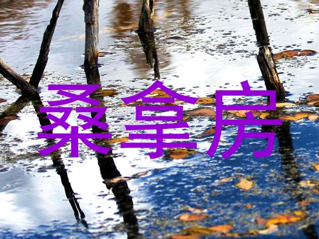 桑拿房