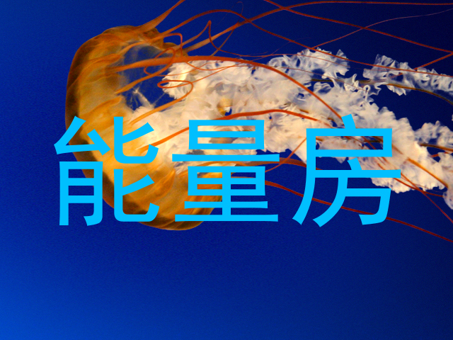 能量房