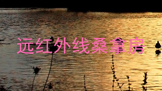 远红外线桑拿房