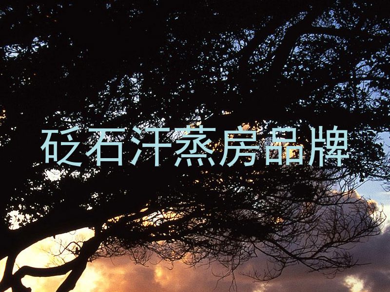 砭石汗蒸房品牌