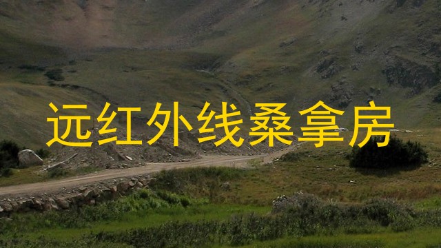远红外线桑拿房