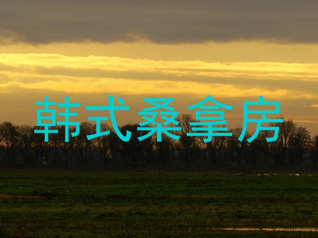 韩式桑拿房