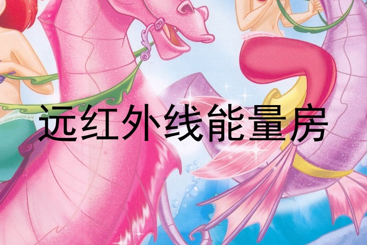 远红外线能量房