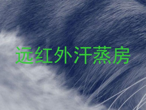 远红外汗蒸房