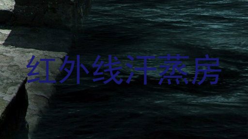 红外线汗蒸房