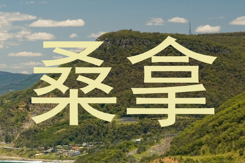 桑拿