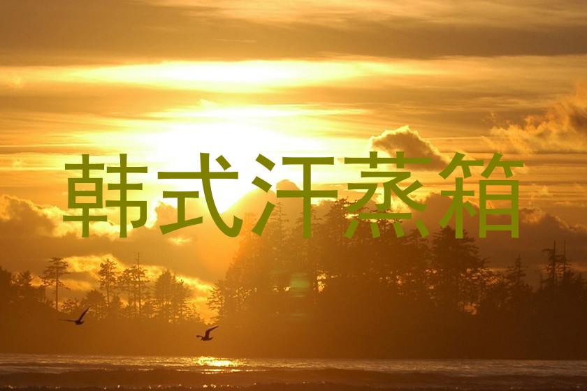 韩式汗蒸箱