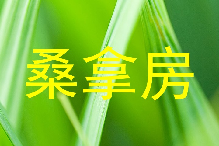桑拿房