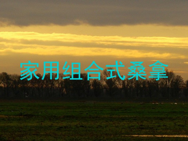 家用组合式桑拿