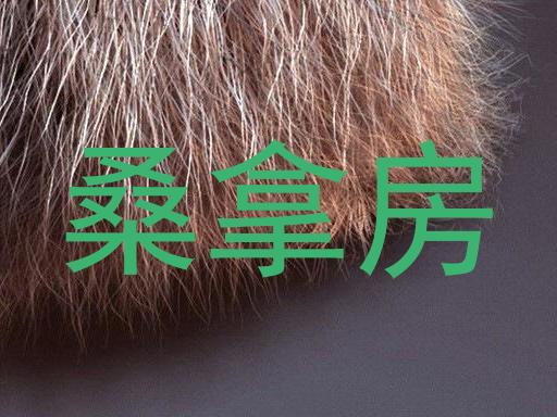 桑拿房