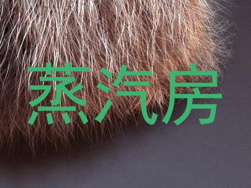 蒸汽房