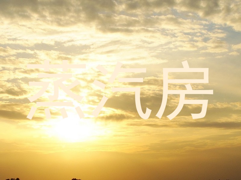 蒸汽房