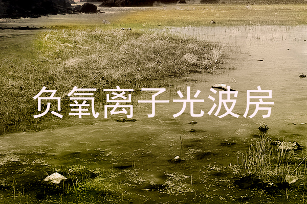 负氧离子光波房