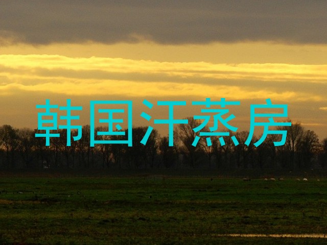 韩国汗蒸房