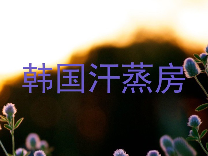 韩国汗蒸房