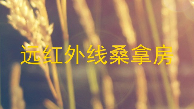 远红外线桑拿房