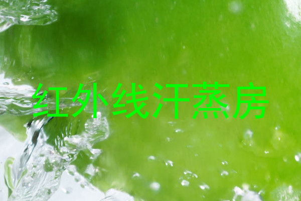 红外线汗蒸房