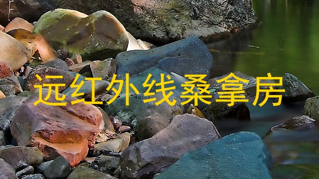 远红外线桑拿房