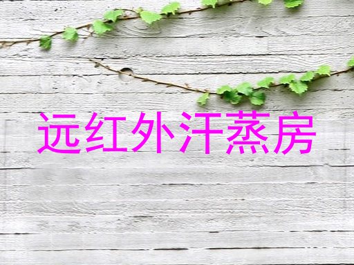 远红外汗蒸房